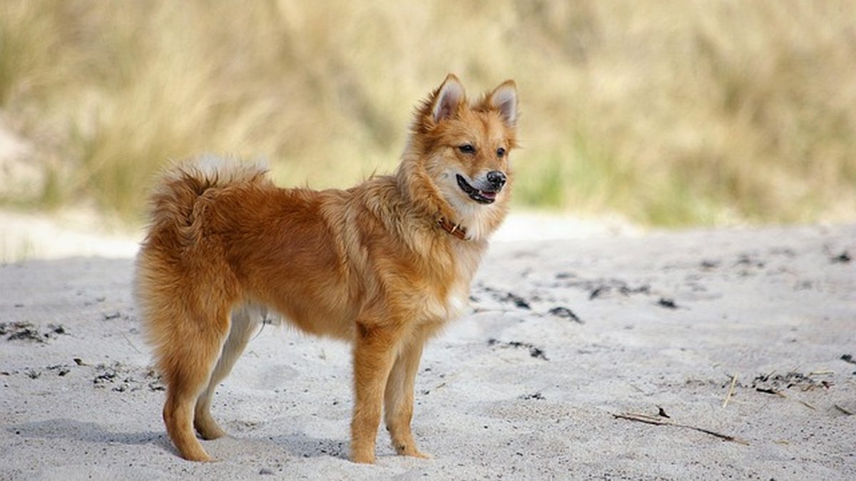 Powerful Ad Copywriting Tips to Boost Conversions Fast