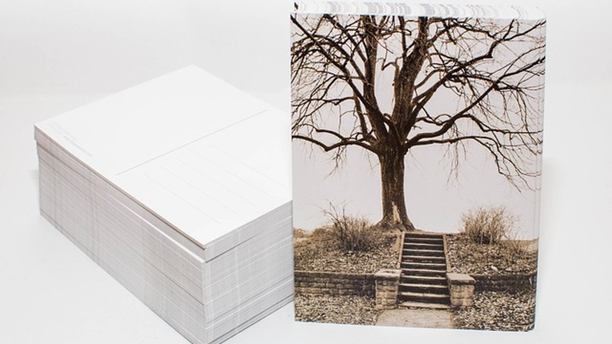 Marketing Attribution: What It Is and Why It Matters 2026